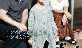 素媛完整在线观看优酷,一场关于爱与救赎的温情之旅